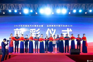 聚焦發(fā)展 2018中國杭州國際汽車博覽會盛況回顧——承接務(wù)實拓新各類經(jīng)濟(jì)技術(shù)策源地